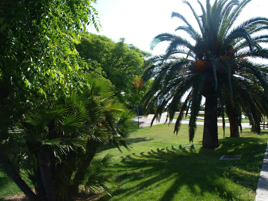 Испания. Каталония. - Владимир Драгунский Испания. Каталония. - Владимир Драгунский