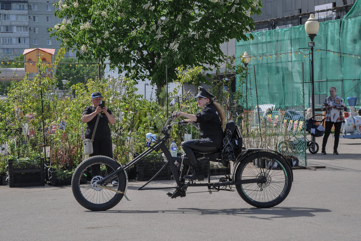 Веломотоледи - Татьяна Машошина Веломотоледи - Татьяна Машошина