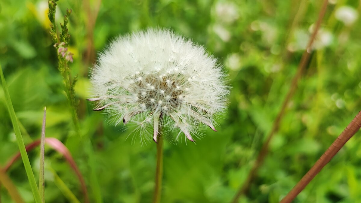 ,,, - Сергей Тимоновский ,,, - Сергей Тимоновский