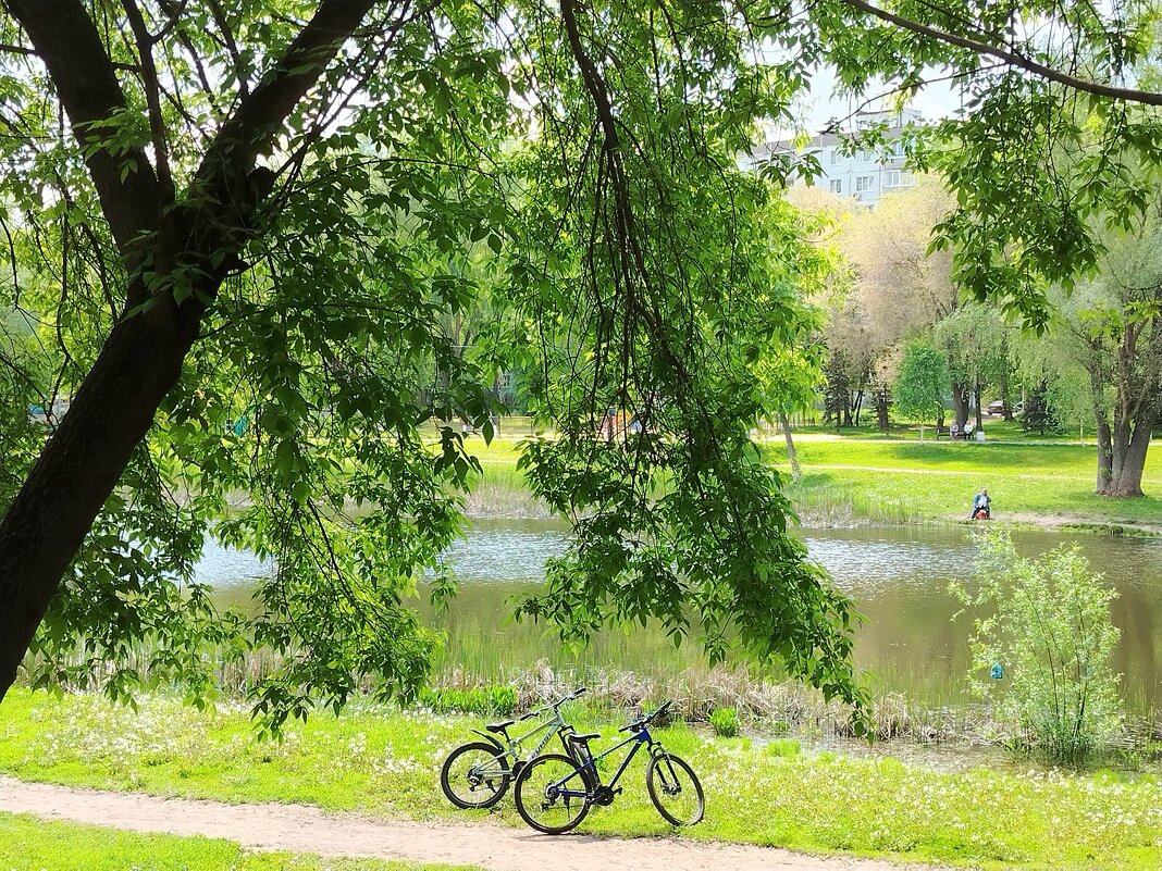 На прогулке - Надежда На прогулке - Надежда