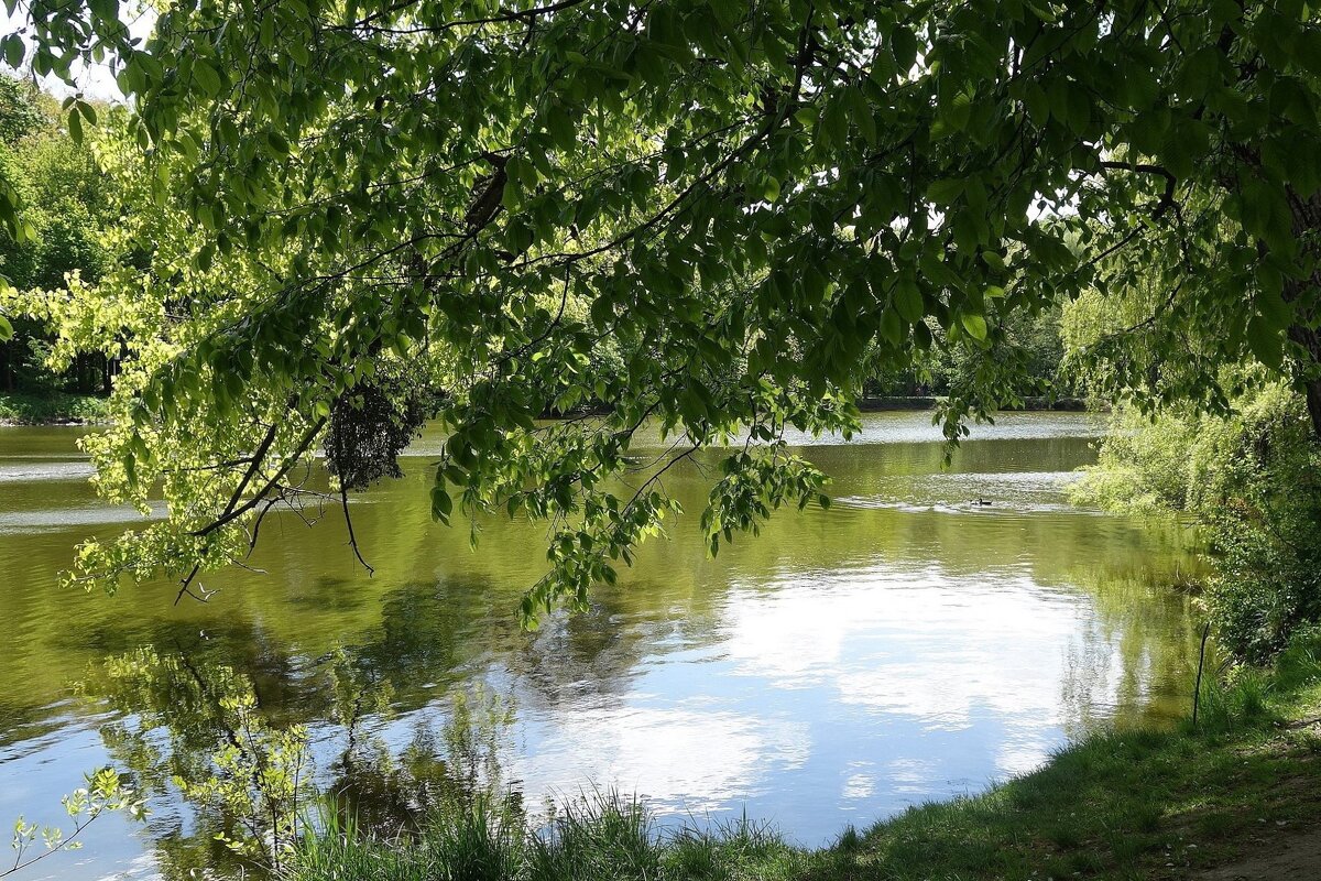 Май - Рита Симонова