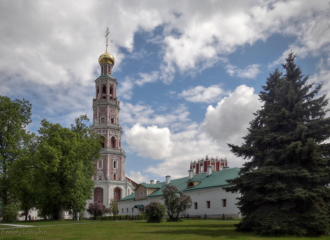 Новодевичий монастырь - Andrey Lomakin
