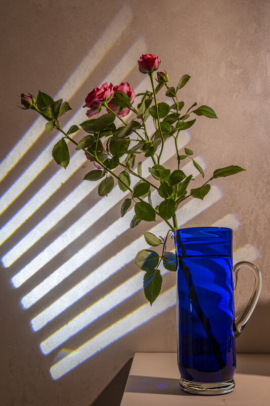 *** - Николай Галкин 