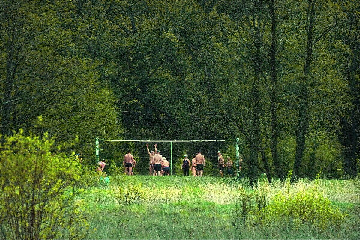 Зелёный шум... - Владимир Шошин Зелёный шум... - Владимир Шошин