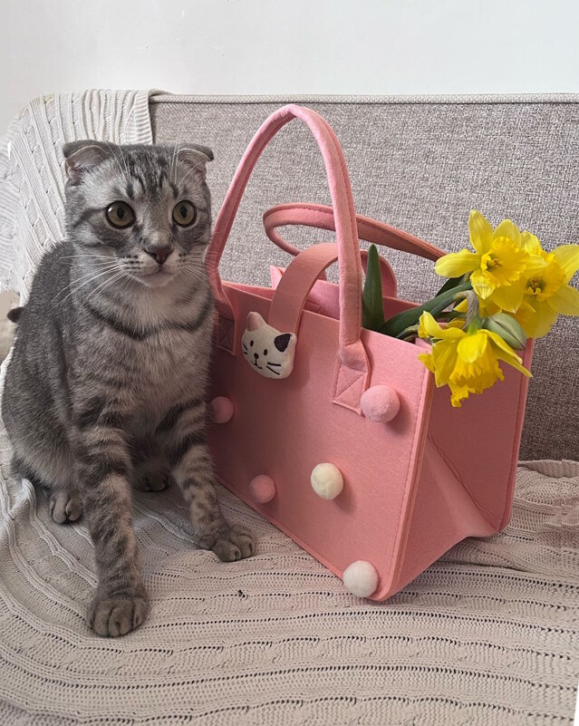 Шалун Боря. - Ольга Довженко