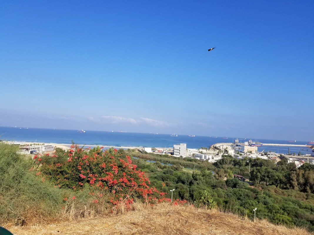 Мне сверху видно  и ты знаешь.... - Светлана Хращевская