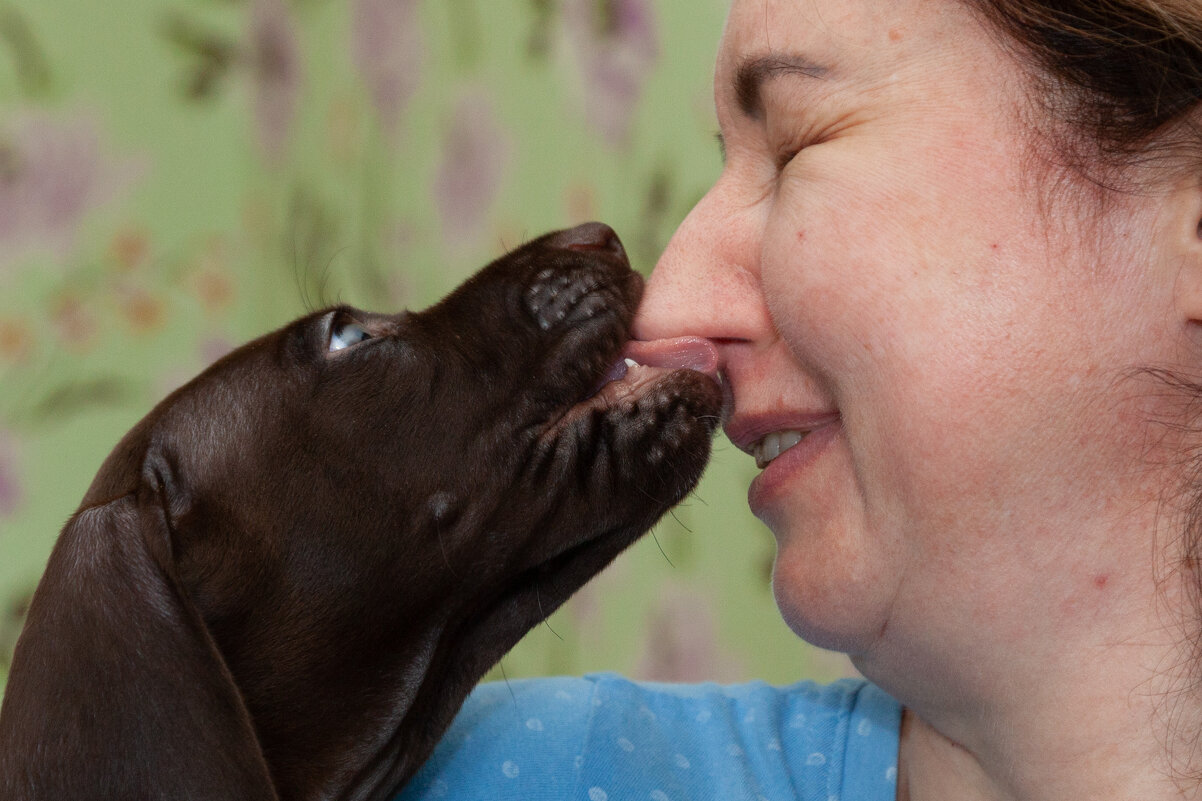 собачий детский сад - Павел Кошалеф