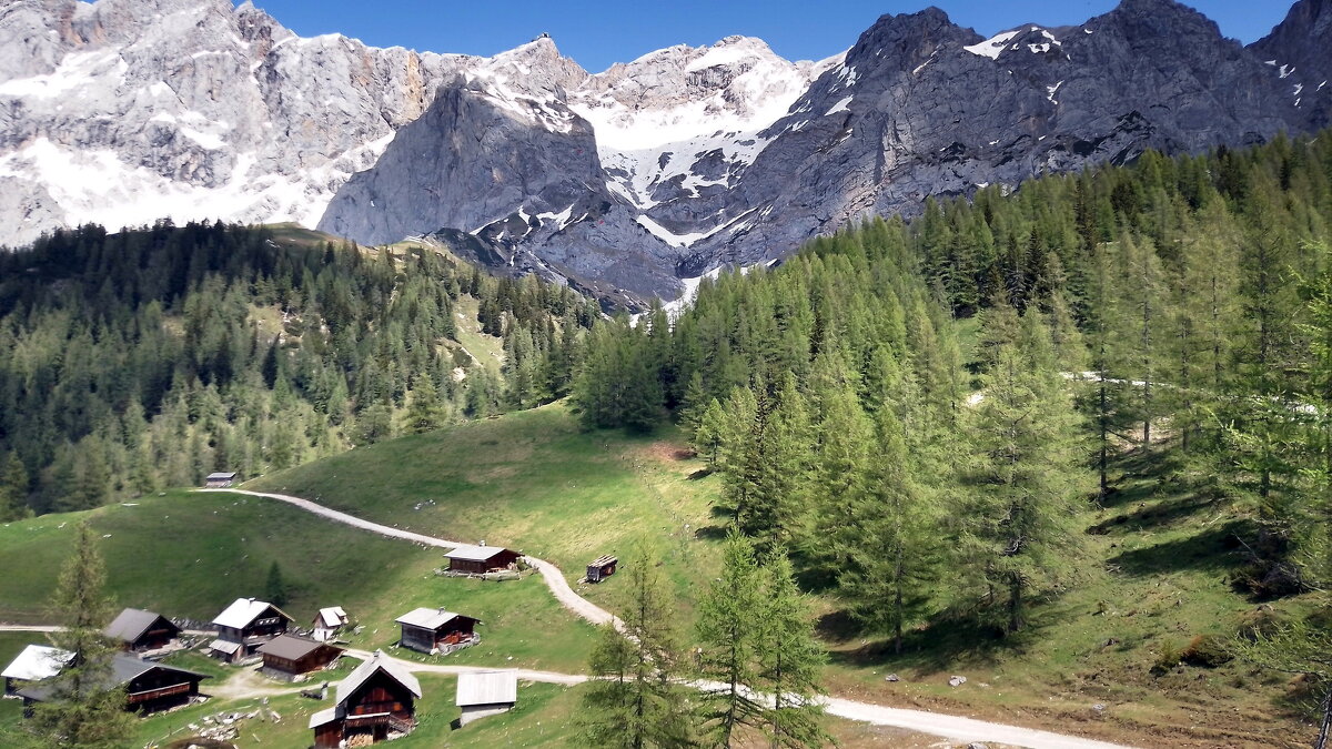 Мир Природы .../... "Natural World" - "The Natural World" Александер Мир Природы .../... "Natural World" - "The Natural World" Александер