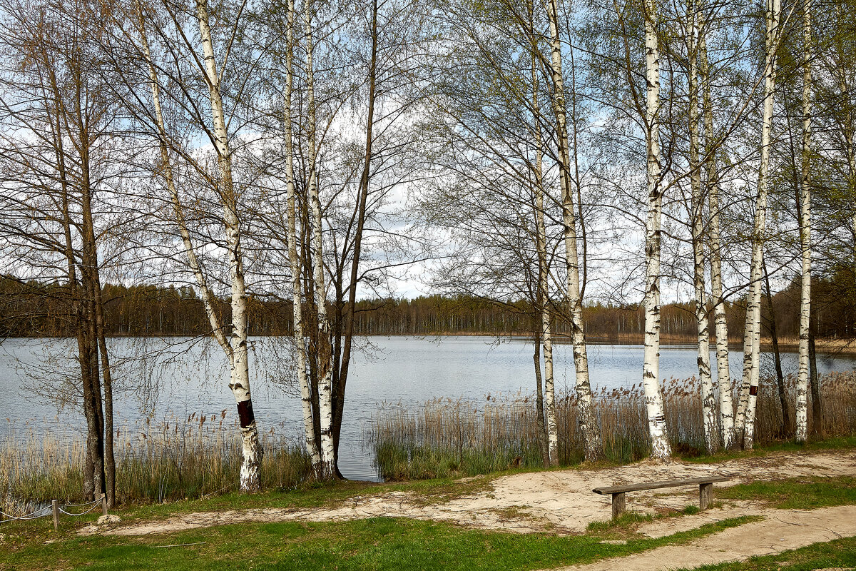 На берегу озера Светлояр - Алексей Р.