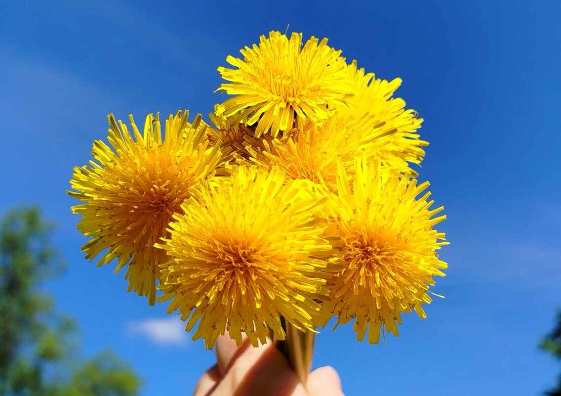 Весенний букет - светлана льдокова Весенний букет - светлана льдокова