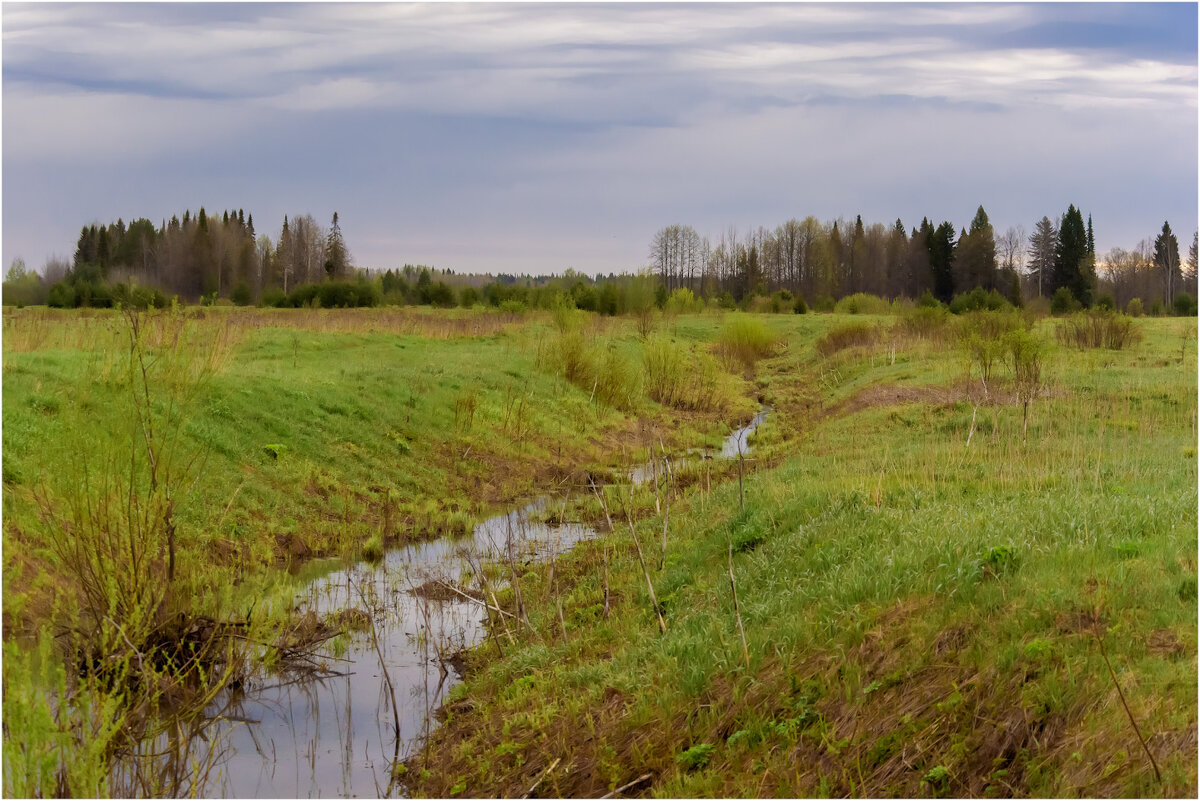 Весенняя протока - Валентин Котляров