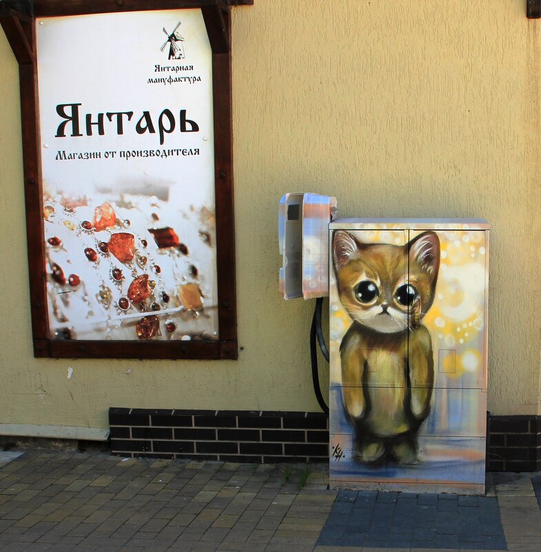 Зеленоградские коты - Ольга Зеленоградские коты - Ольга