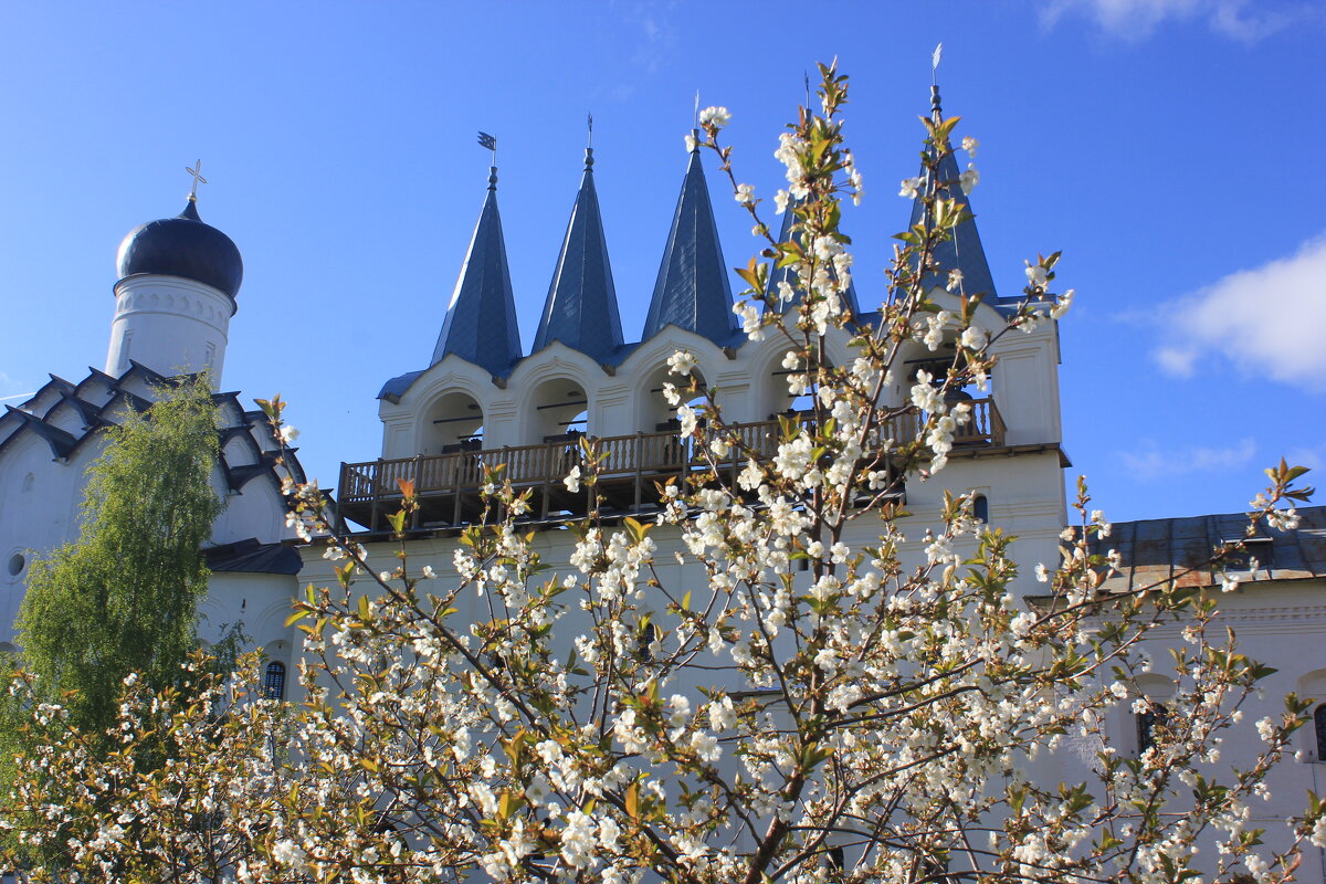 Колокольня Успенского мужского монастыря - Сергей Кочнев Колокольня Успенского мужского монастыря - Сергей Кочнев