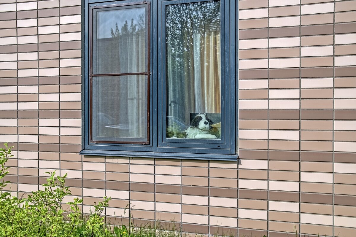 Один дома - Валерий Иванович