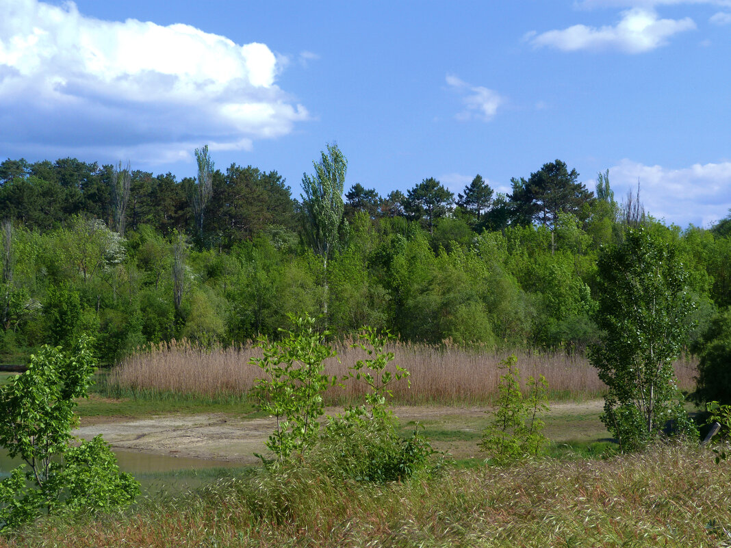 Пейзажи  Крыма - Валентин Семчишин