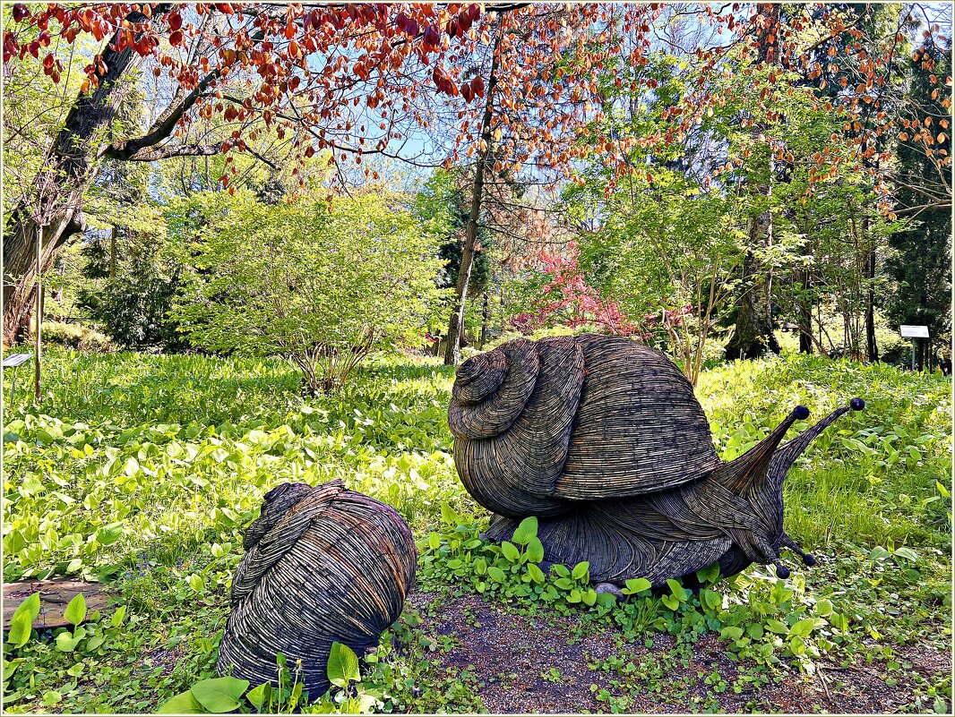 Улитки Ландшафтного парка. - Валерия Комова Улитки Ландшафтного парка. - Валерия Комова