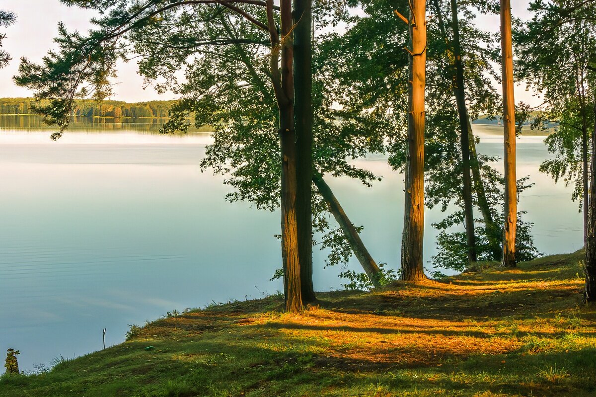 Чигиринское водохранилище в Могилевской области - Игорь Сикорский Чигиринское водохранилище в Могилевской области - Игорь Сикорский
