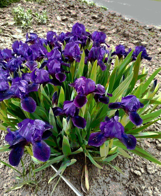 *** - Валентина Береснева