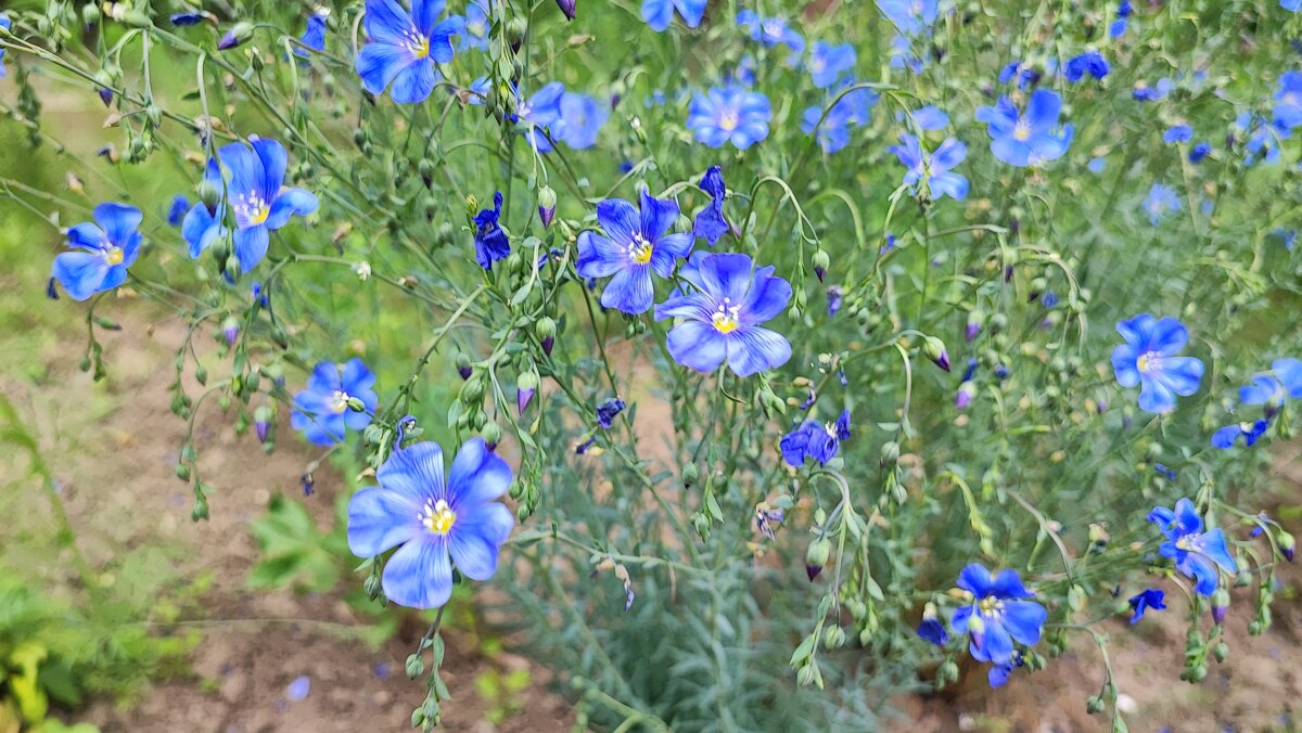 ,,, - Сергей Тимоновский ,,, - Сергей Тимоновский