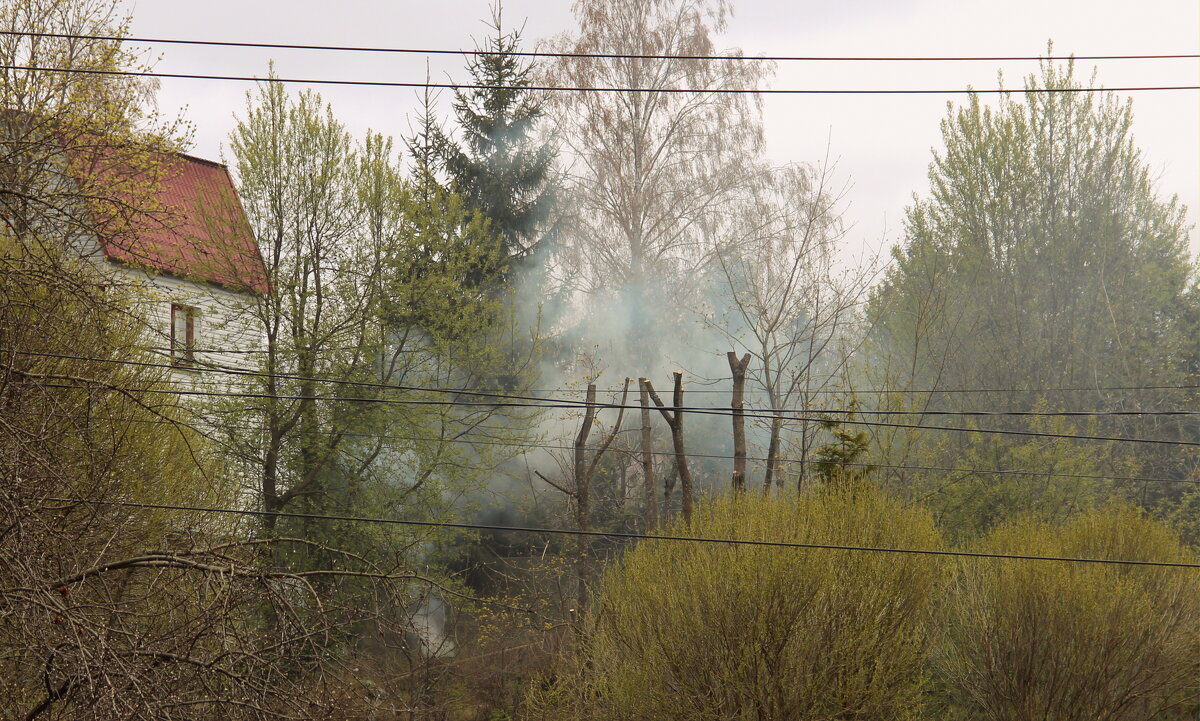 Бабка трубку закурила, дед на паровоз вскочил..) - Елена Минина Бабка трубку закурила, дед на паровоз вскочил..) - Елена Минина