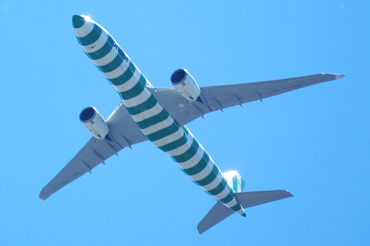 зелёный полосатик - Павел Fotoflash911 Никулочкин