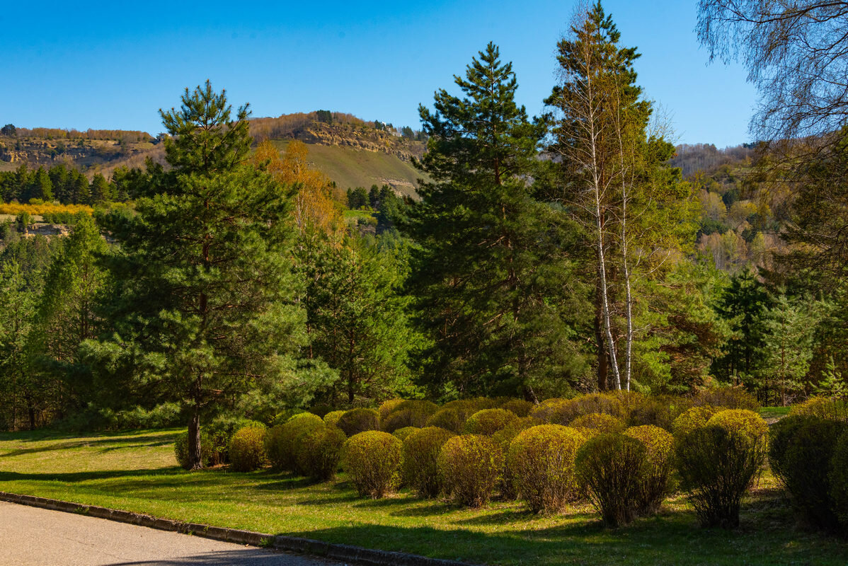 *** - Дмитрий Лупандин