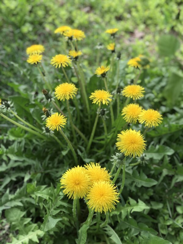 Очарование в простом!) - Любовь 