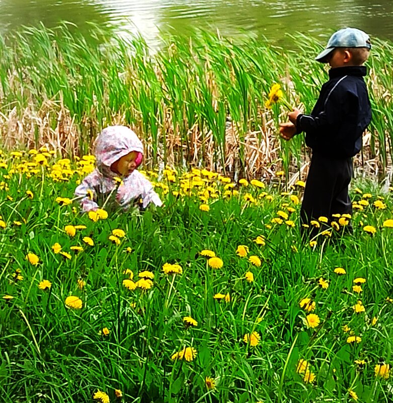 — Хочу самый красивый цветок! - veilins veilins