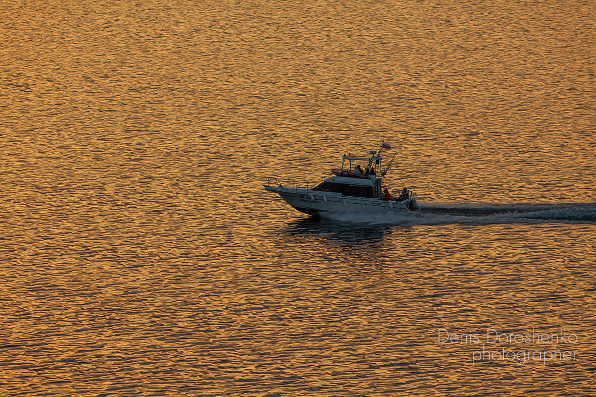 по золоту - Denis Doroshenko