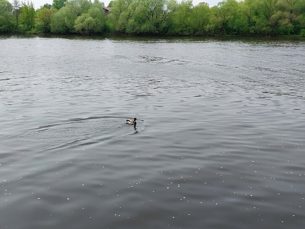 р.Москва (г.Воскресенск) - Tarka 