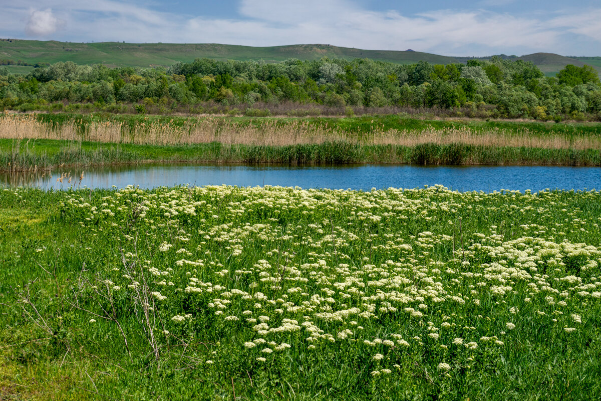 Весна Краснодарский край - Игорь Сикорский Весна Краснодарский край - Игорь Сикорский