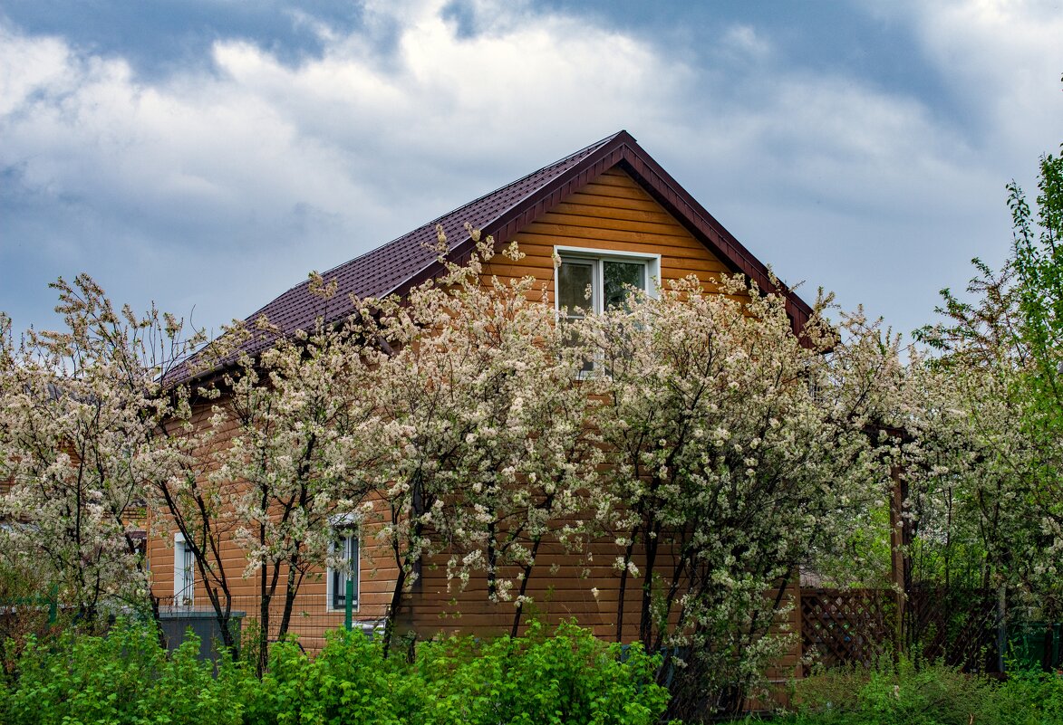 А за окошком месяц май ... - Петр 