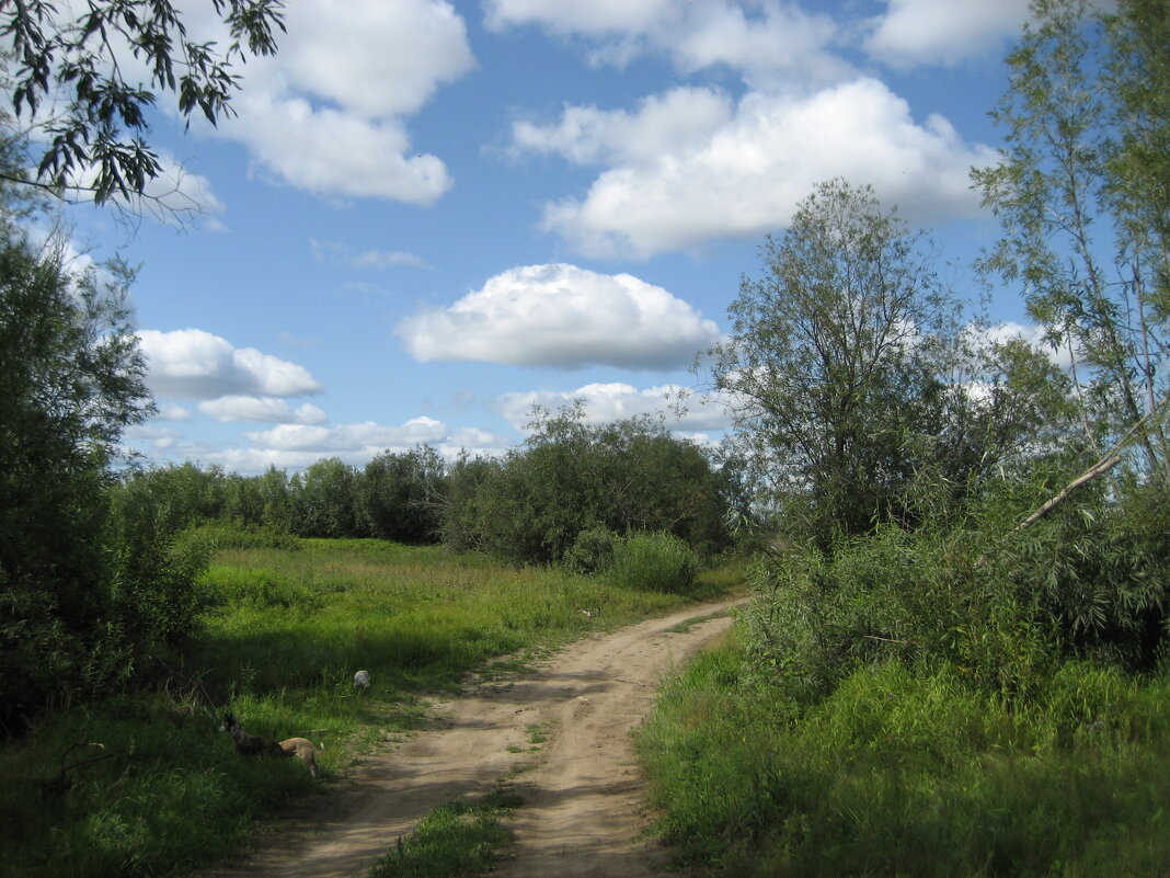 Лето - Anna Ivanova