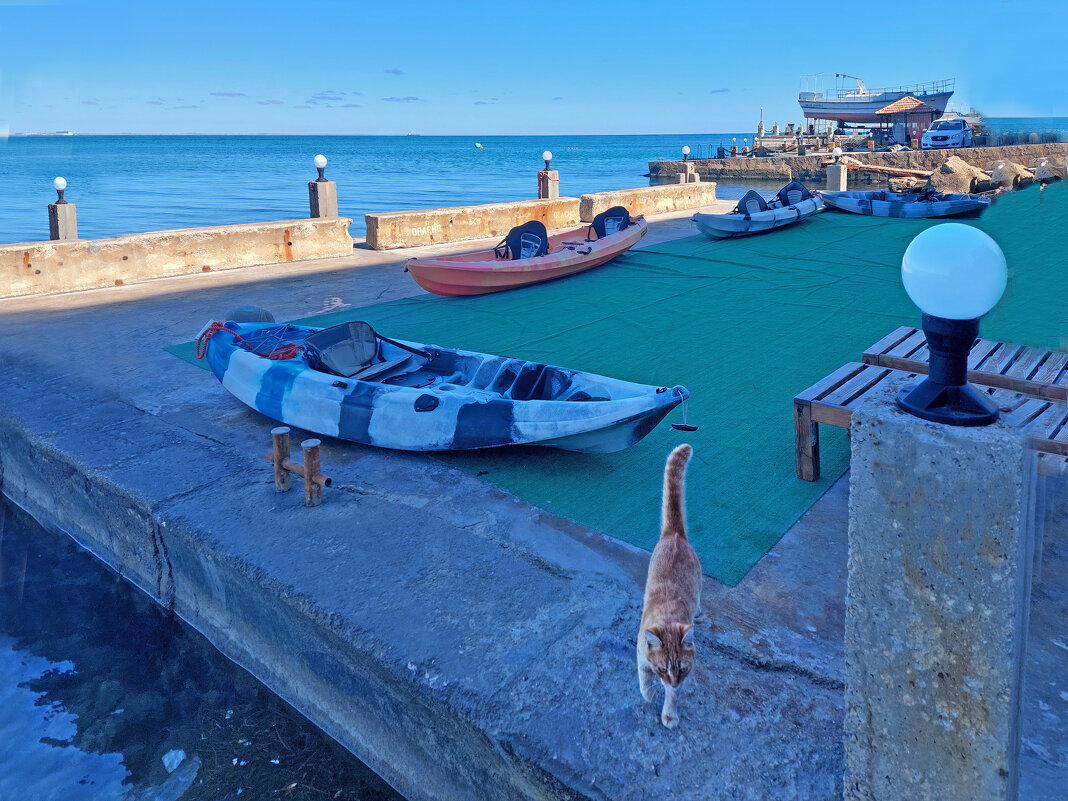 В ожидании - ИРЭН@ .