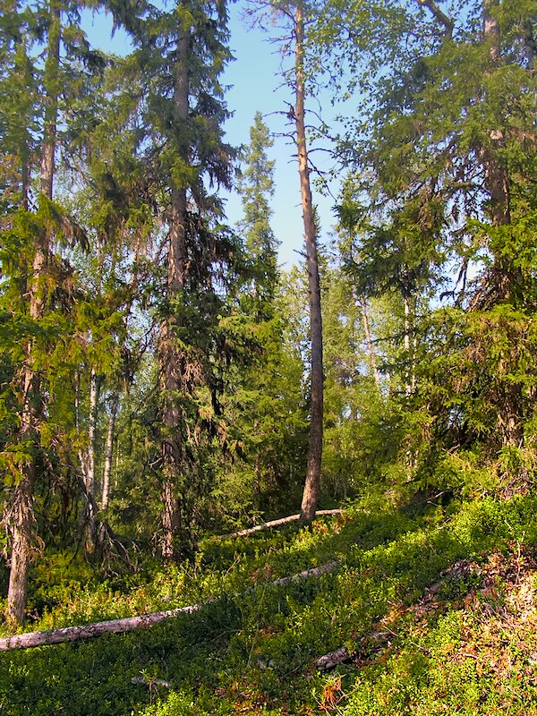 Эксперимент 6 - Andy 