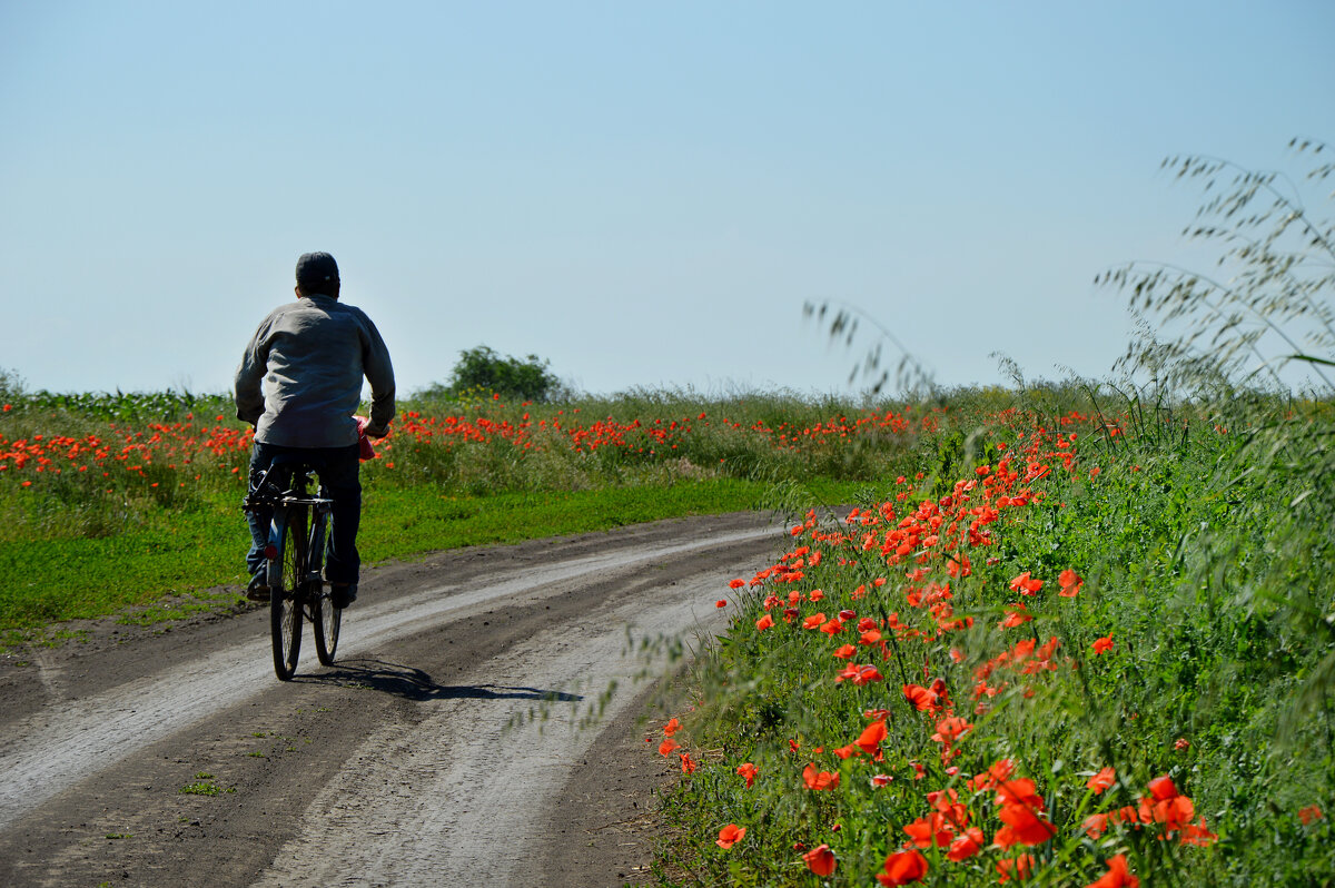 ...я долго буду гнать велосипед... - Надежда Куркина ...я долго буду гнать велосипед... - Надежда Куркина