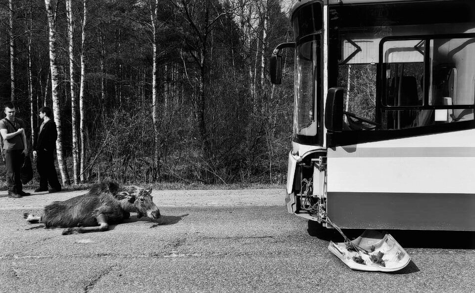 ----A parting glance--- - AL Reborn 