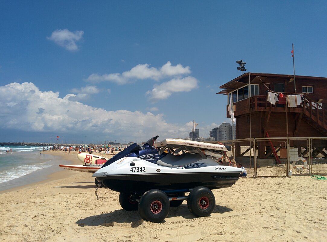 " - Светлана Хращевская