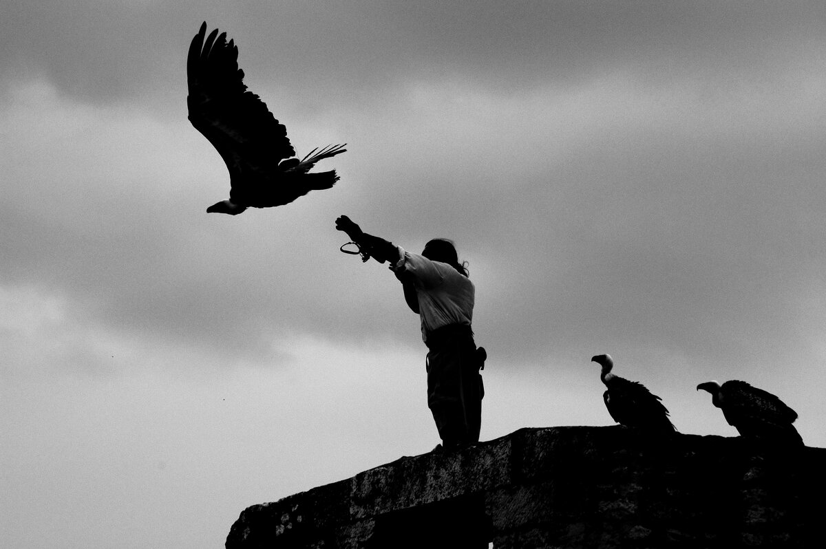 Первый - пошёл! - Борис Бутцев