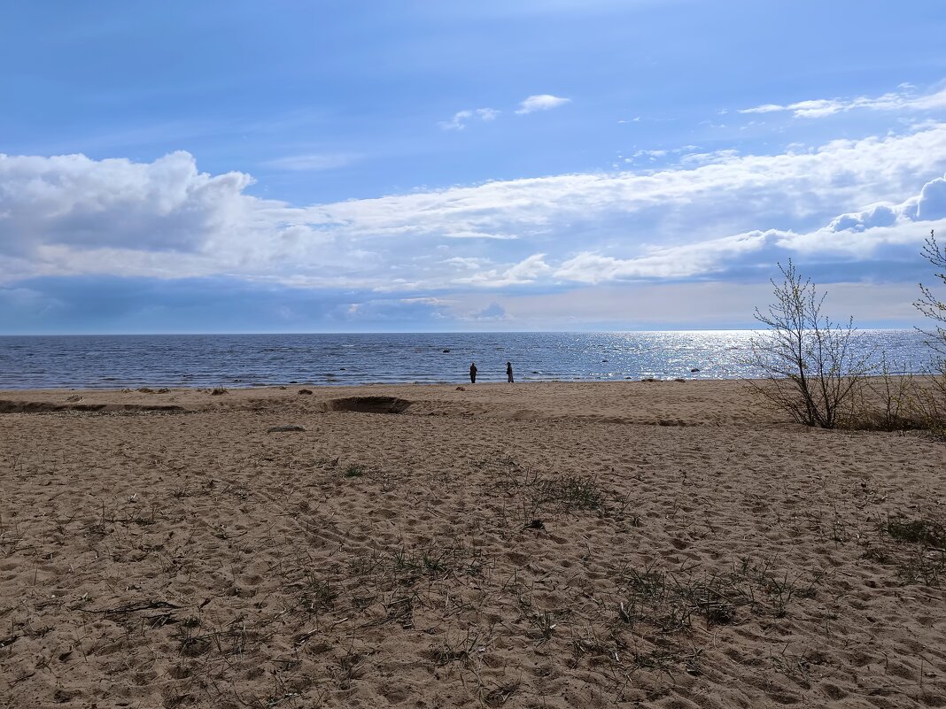 У Финского залива... - Мария Васильева У Финского залива... - Мария Васильева