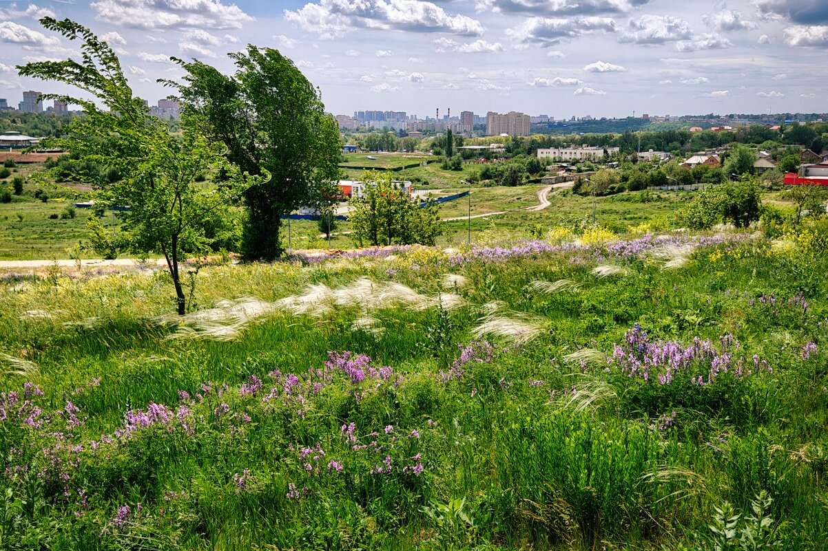 Ростовские зарисовки - Александр Гапоненко