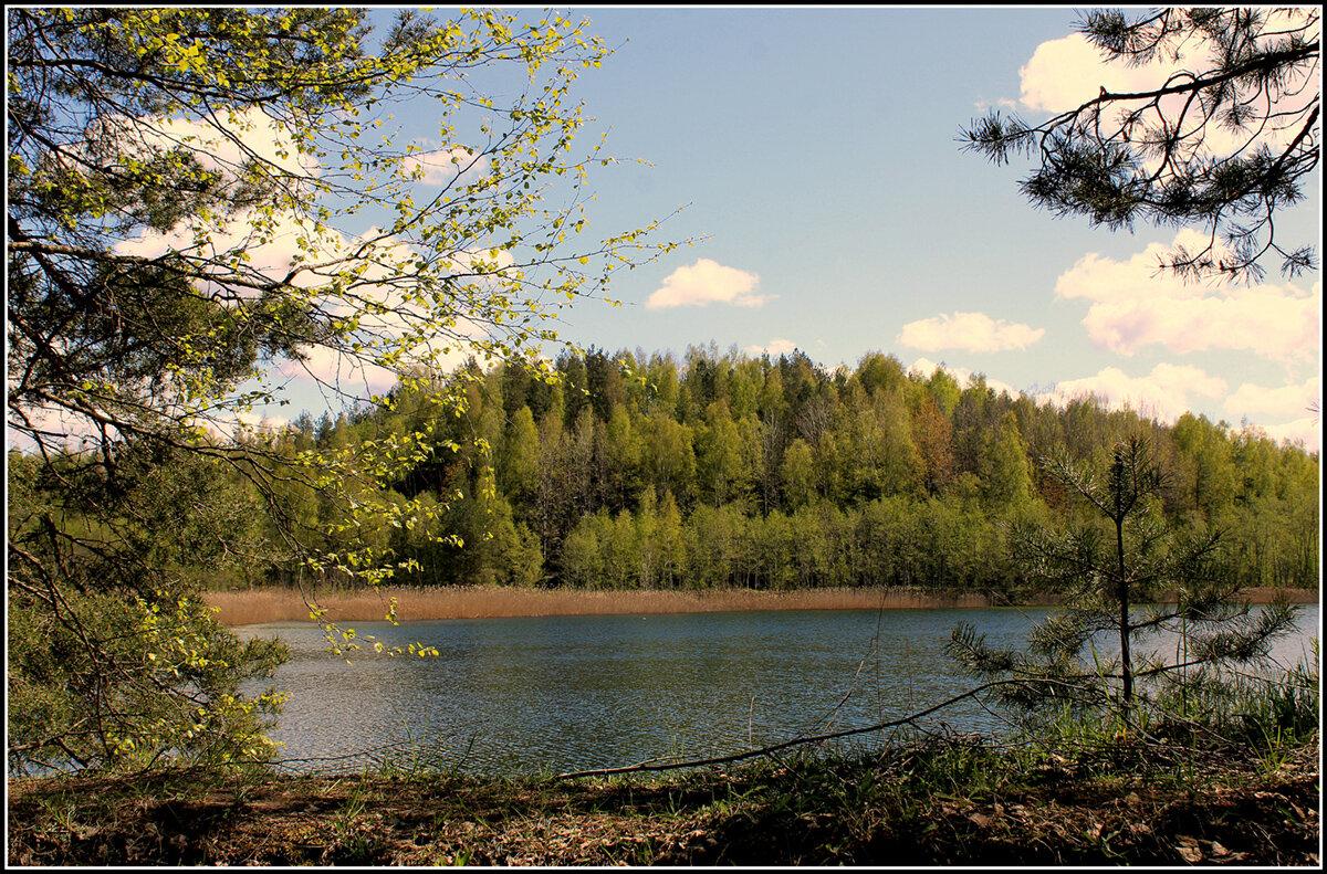 Весна на озере - Aleksandr Gal Весна на озере - Aleksandr Gal