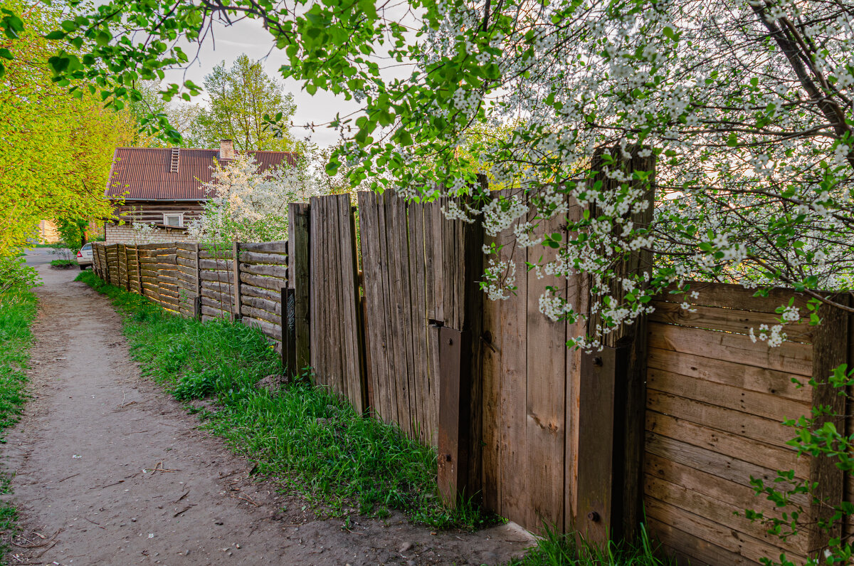 Город - цветущий сад - Александр Филатов