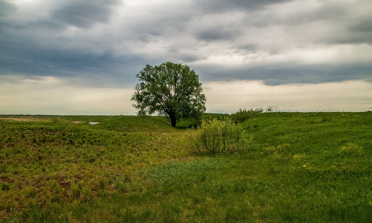 Утро на Клязьме  3 - Андрей Дворников