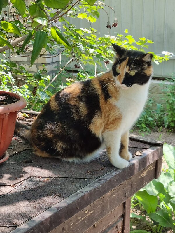 Изумление :) - Наталья Изумление :) - Наталья