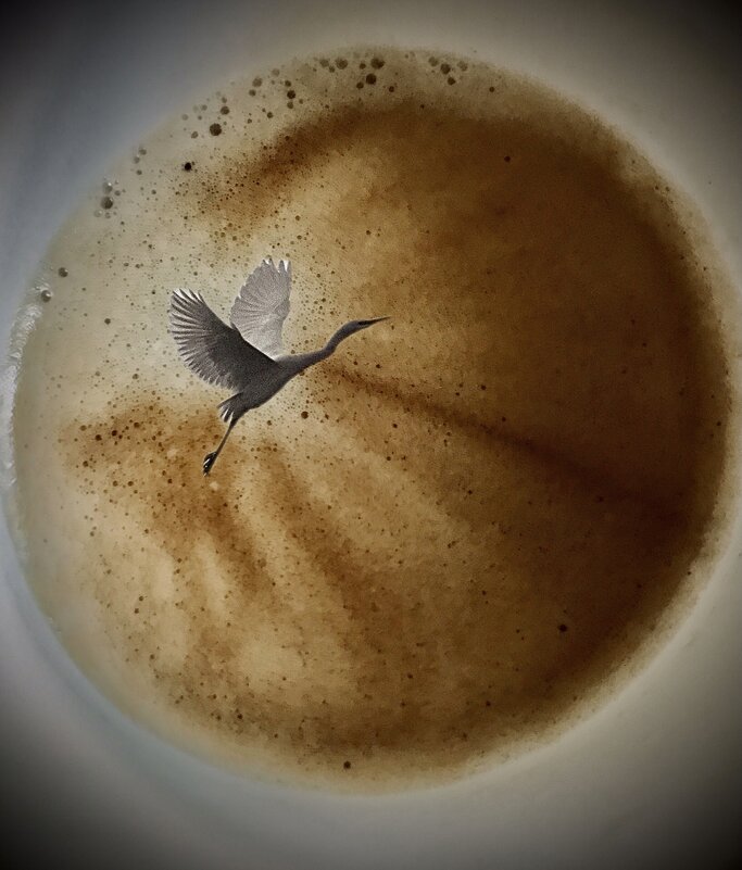 Выпивая чашечку кофе…) - Любовь 