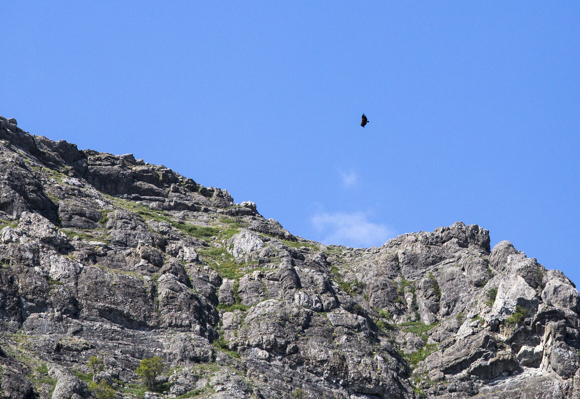 В небесах - Светлана Тихонина В небесах - Светлана Тихонина