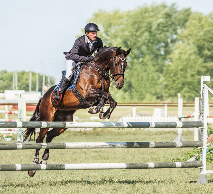 Конкур - SanSan 