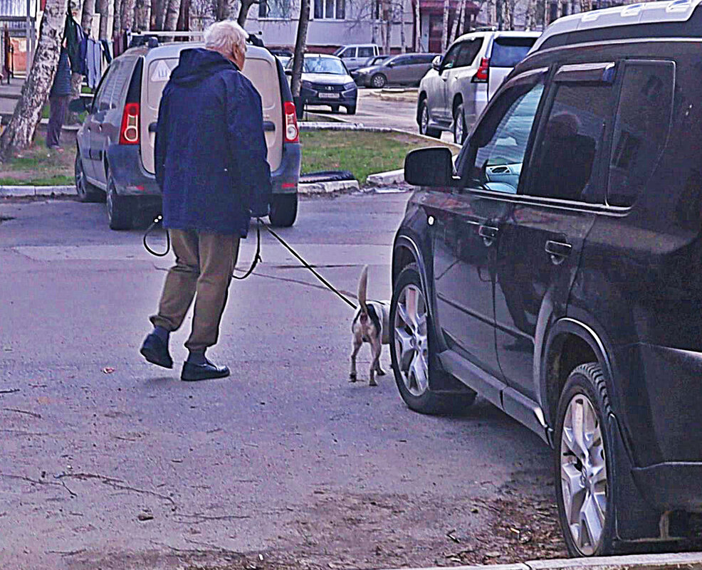 Май...Утренний променад среди машин! - Владимир 