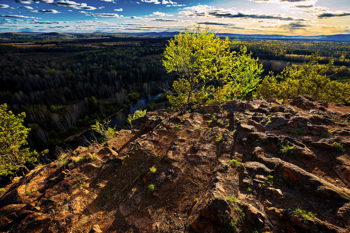 Ушла зима. - Юрий кот Ушла зима. - Юрий кот